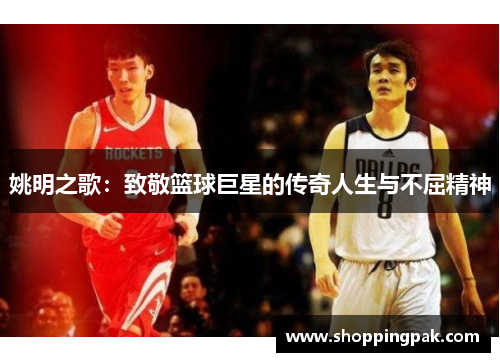 姚明之歌：致敬篮球巨星的传奇人生与不屈精神